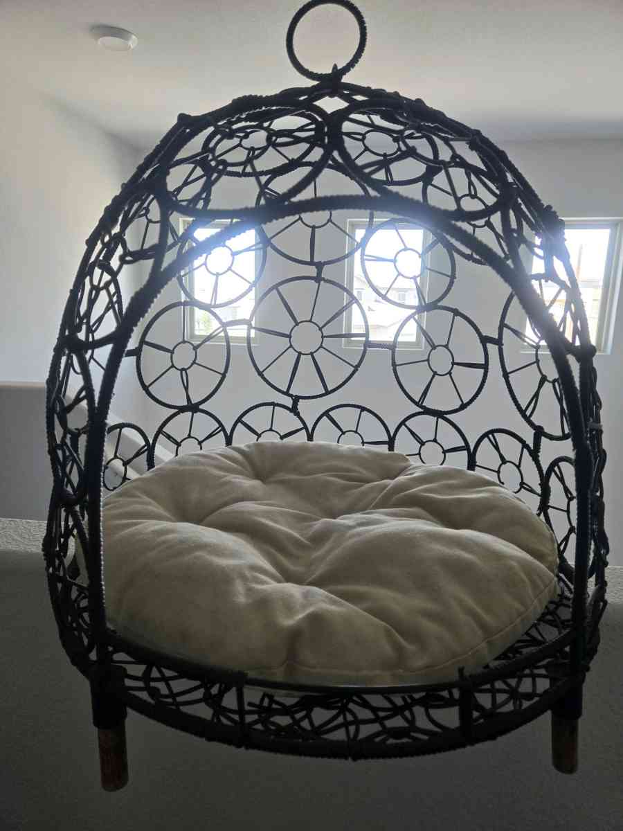 raised dog or cat bed - El Paso, Texas