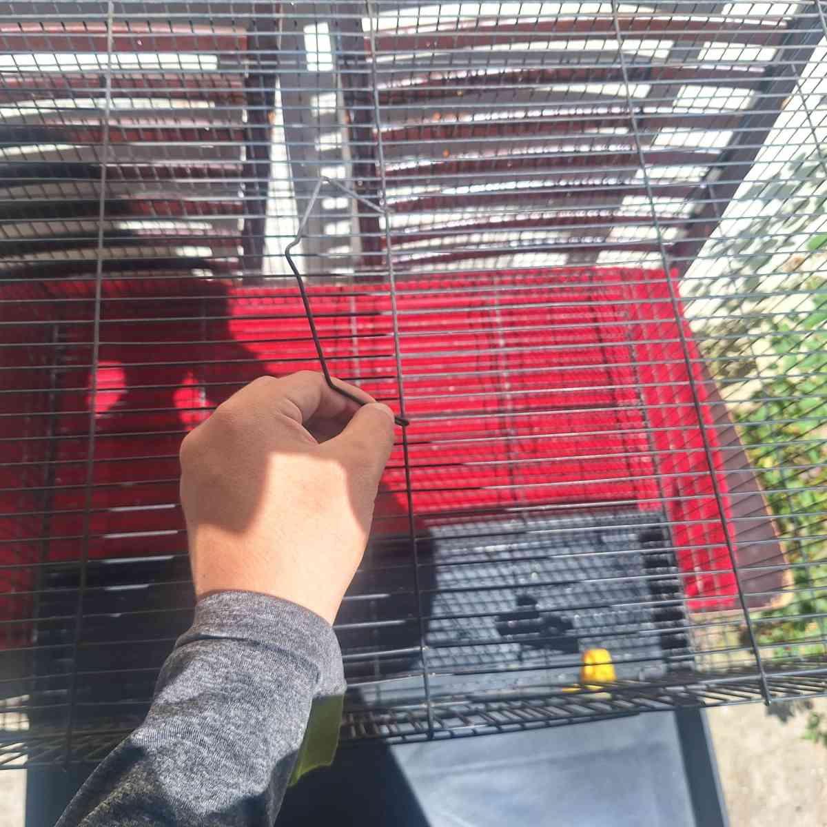 bird cage - Alicia, Arkansas - FleaMarketBay