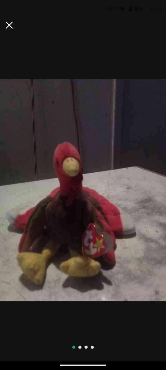 Gobbles The Turkey - Sacramento, California - FleaMarketBay