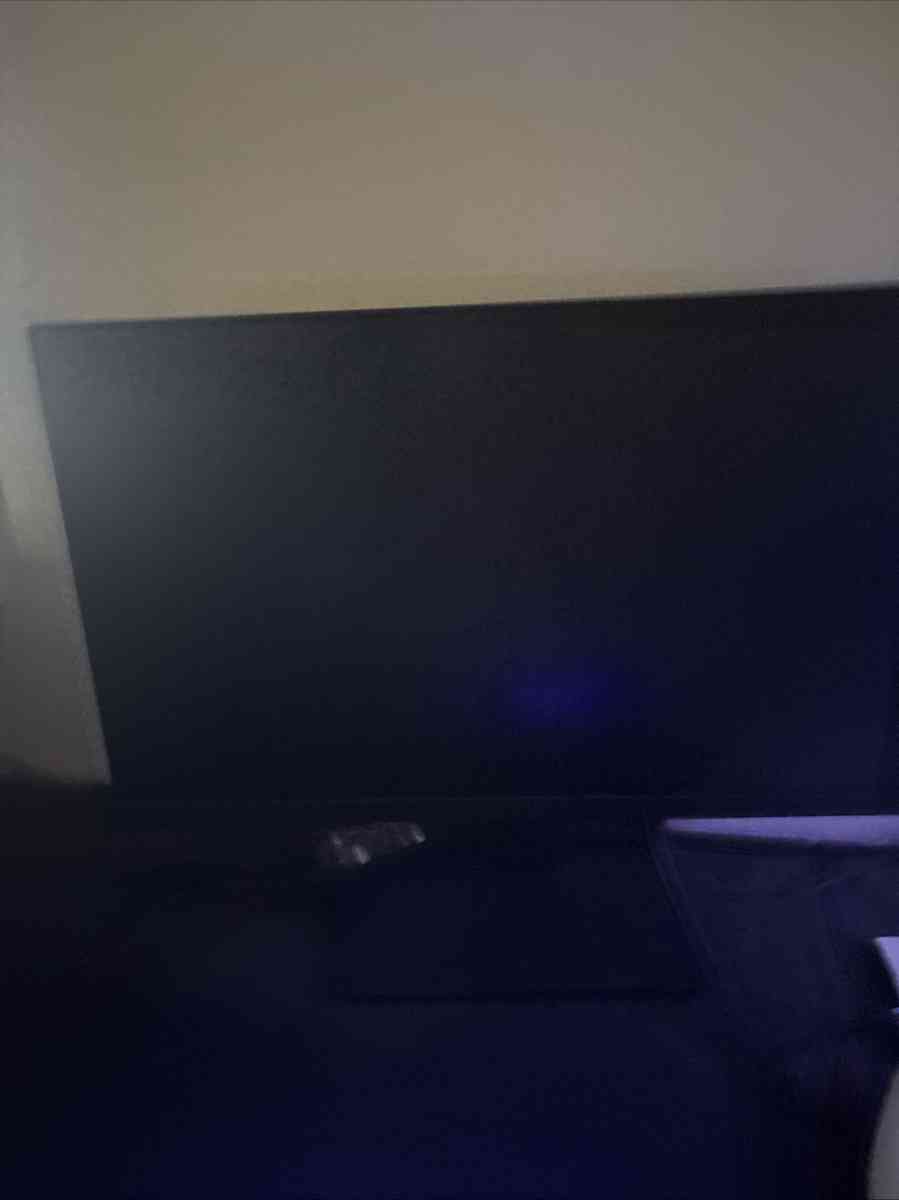 Gaming Monitor - Flowery Branch, Georgia