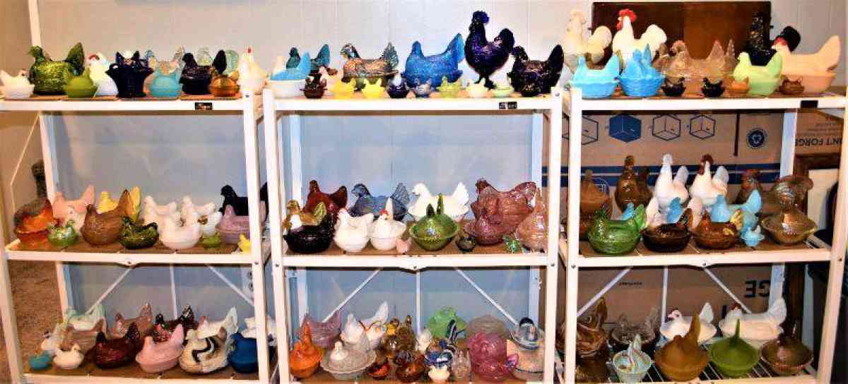 hens on nest - Adamsville, Ohio