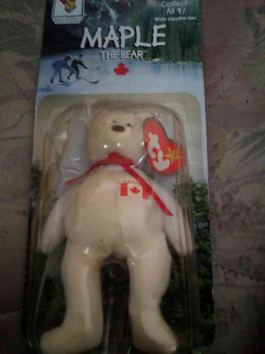 Maple The Bear - Sacramento, California