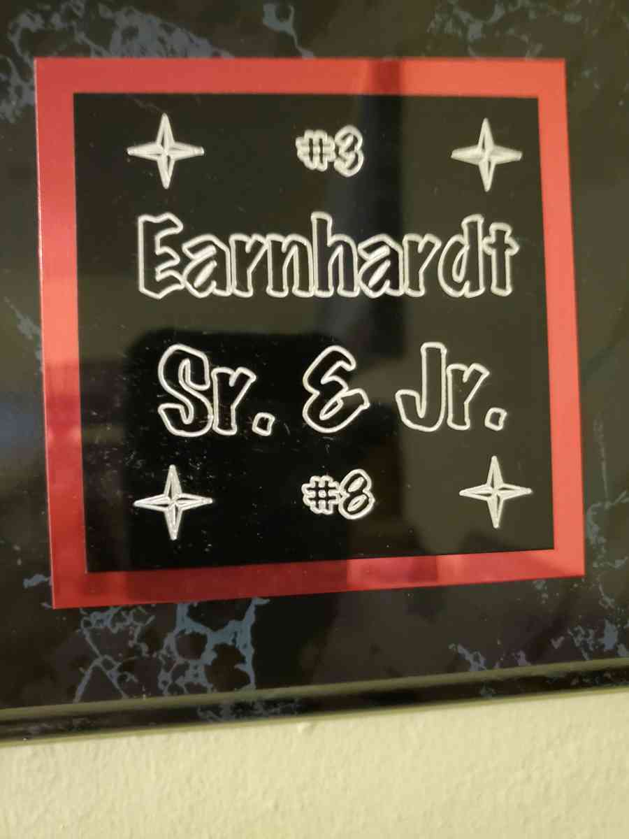 Dale Earnhardt Dale Jr - Citrus Heights, California - FleaMarketBay