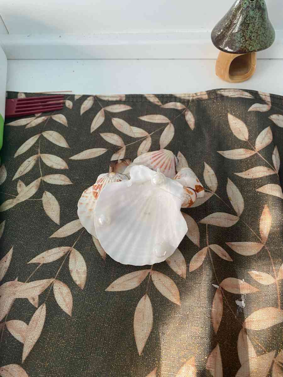 shell jewelry stand - Fort Worth, Texas - FleaMarketBay