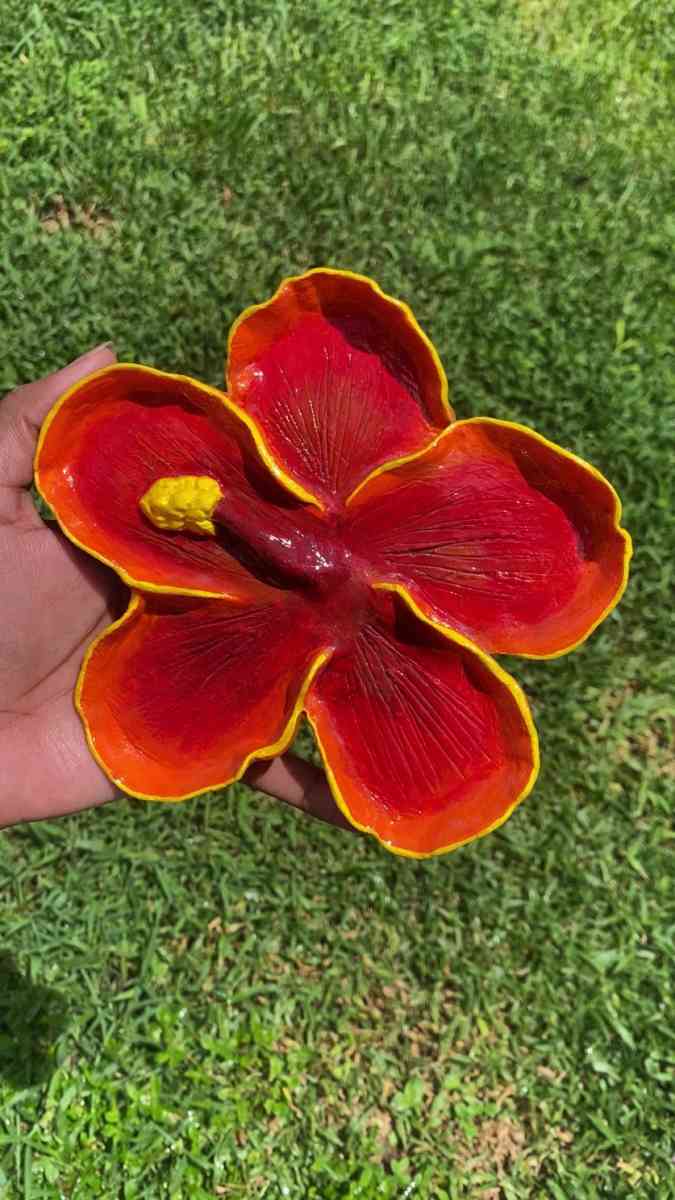 Hibiscus tray - Lake Mary, Florida