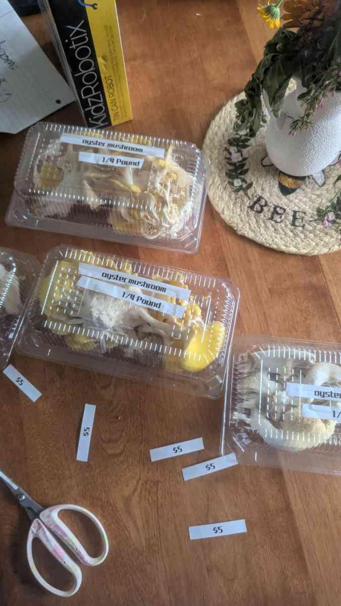 Farm Stand - Hannibal, New York - FleaMarketBay