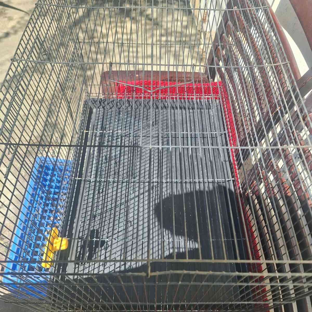 bird cage - Alicia, Arkansas - FleaMarketBay