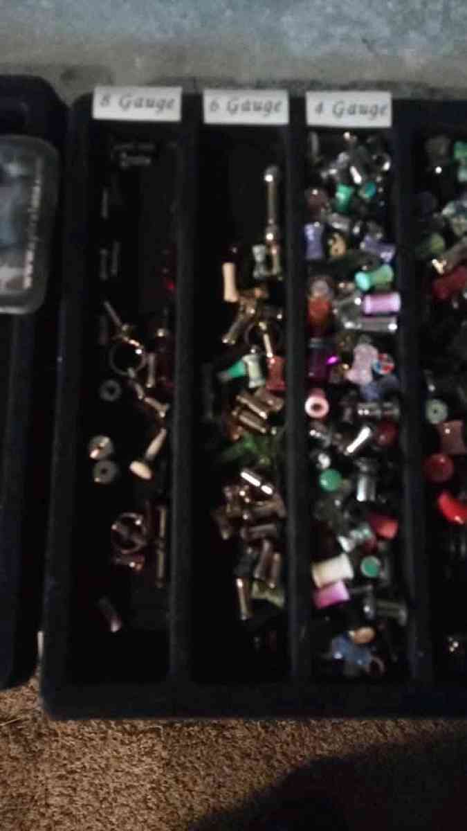 ear gauges from start to 1 - Hagerstown, Maryland - FleaMarketBay
