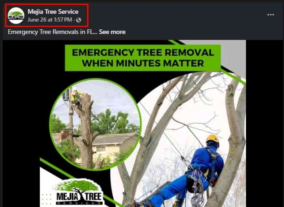 trim tree - Fort Pierce, Florida - FleaMarketBay