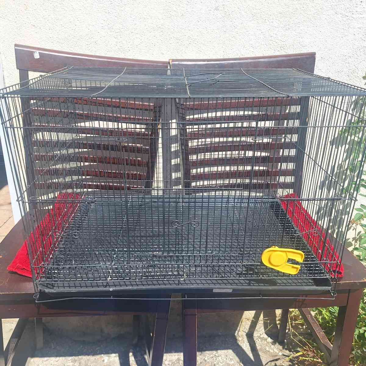 bird cage - Alicia, Arkansas