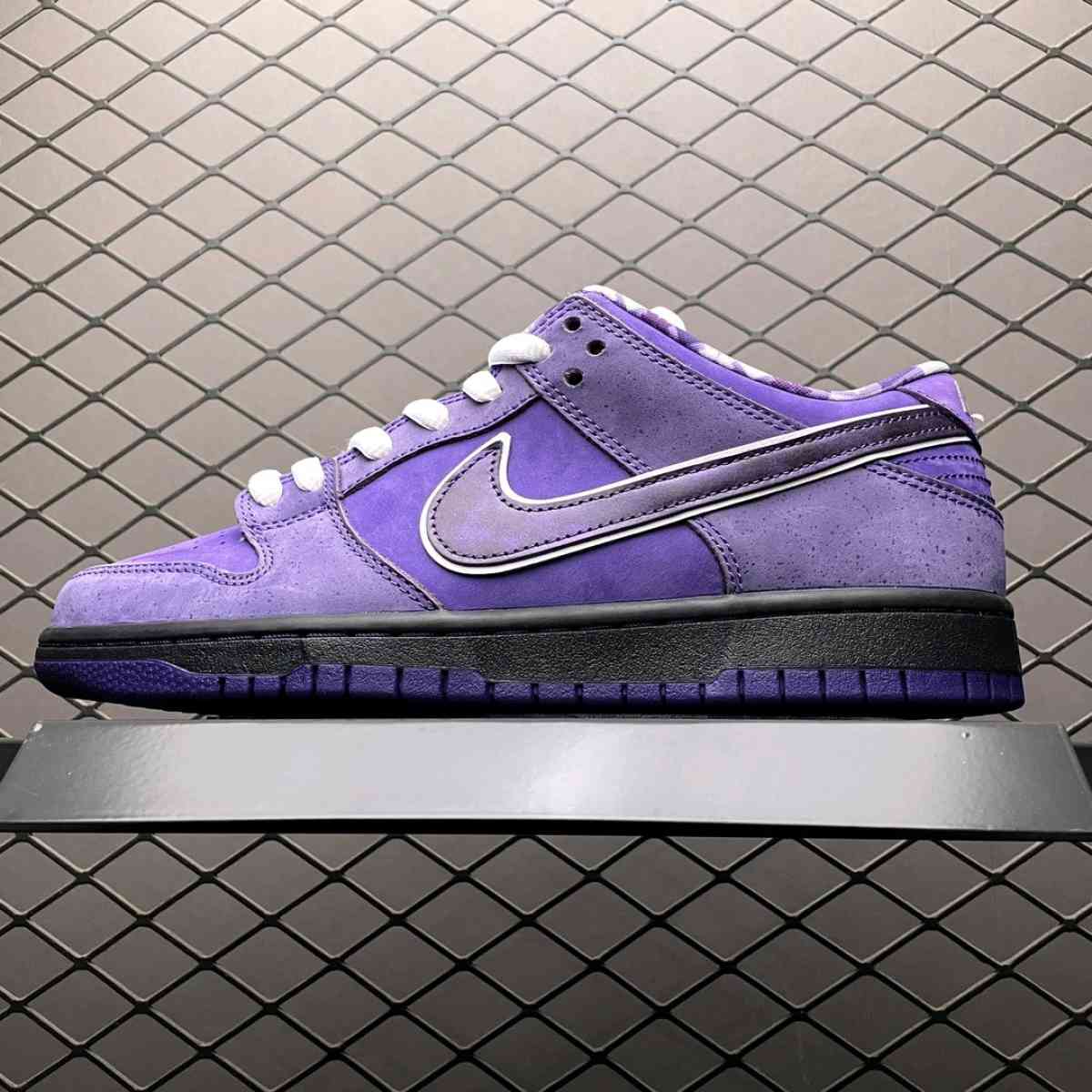 Concepts X NK SB Dunk Purple Lobster - Kissimmee, Florida