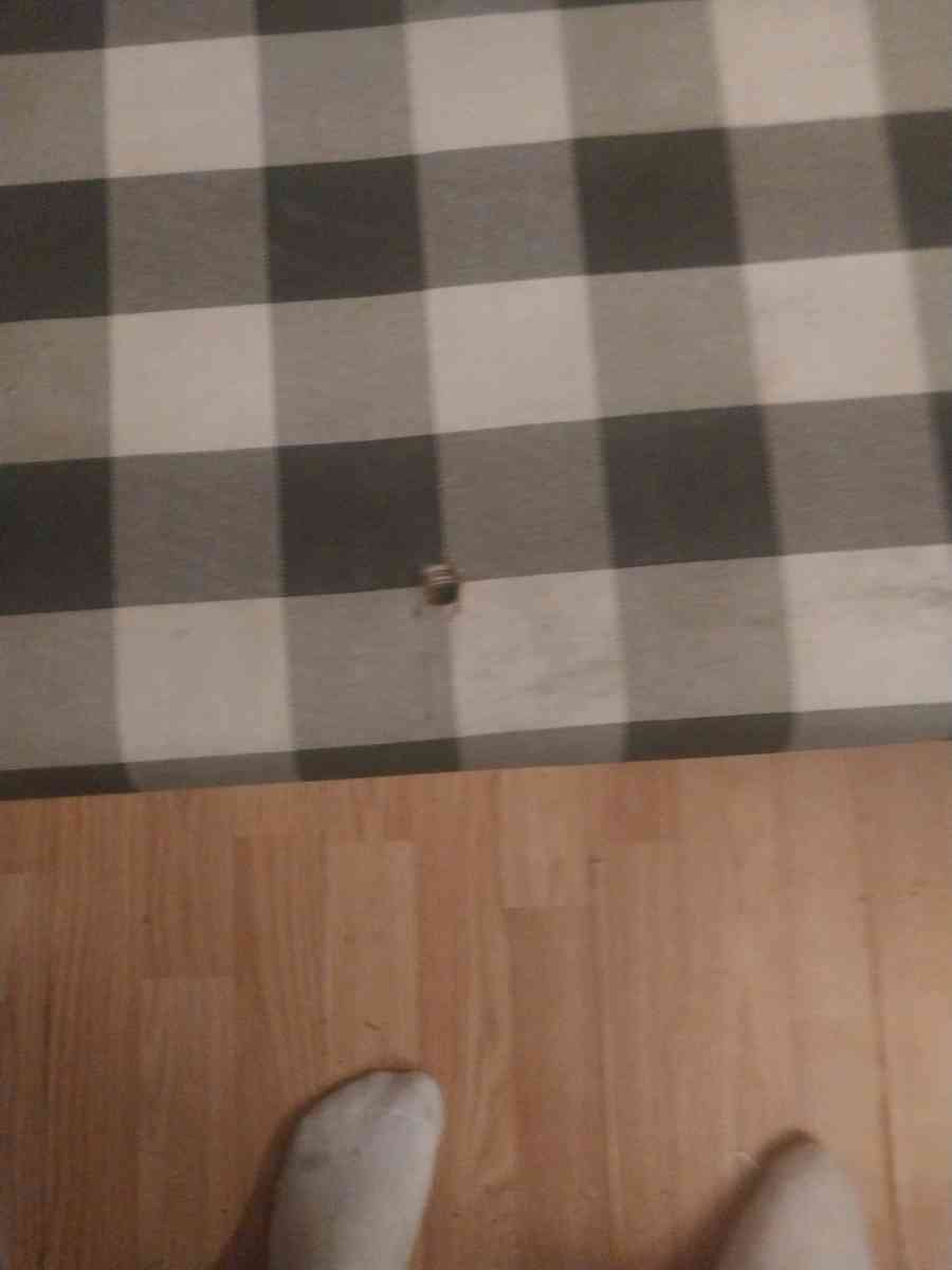 White Entryway Bench - Jackson, Missouri - FleaMarketBay