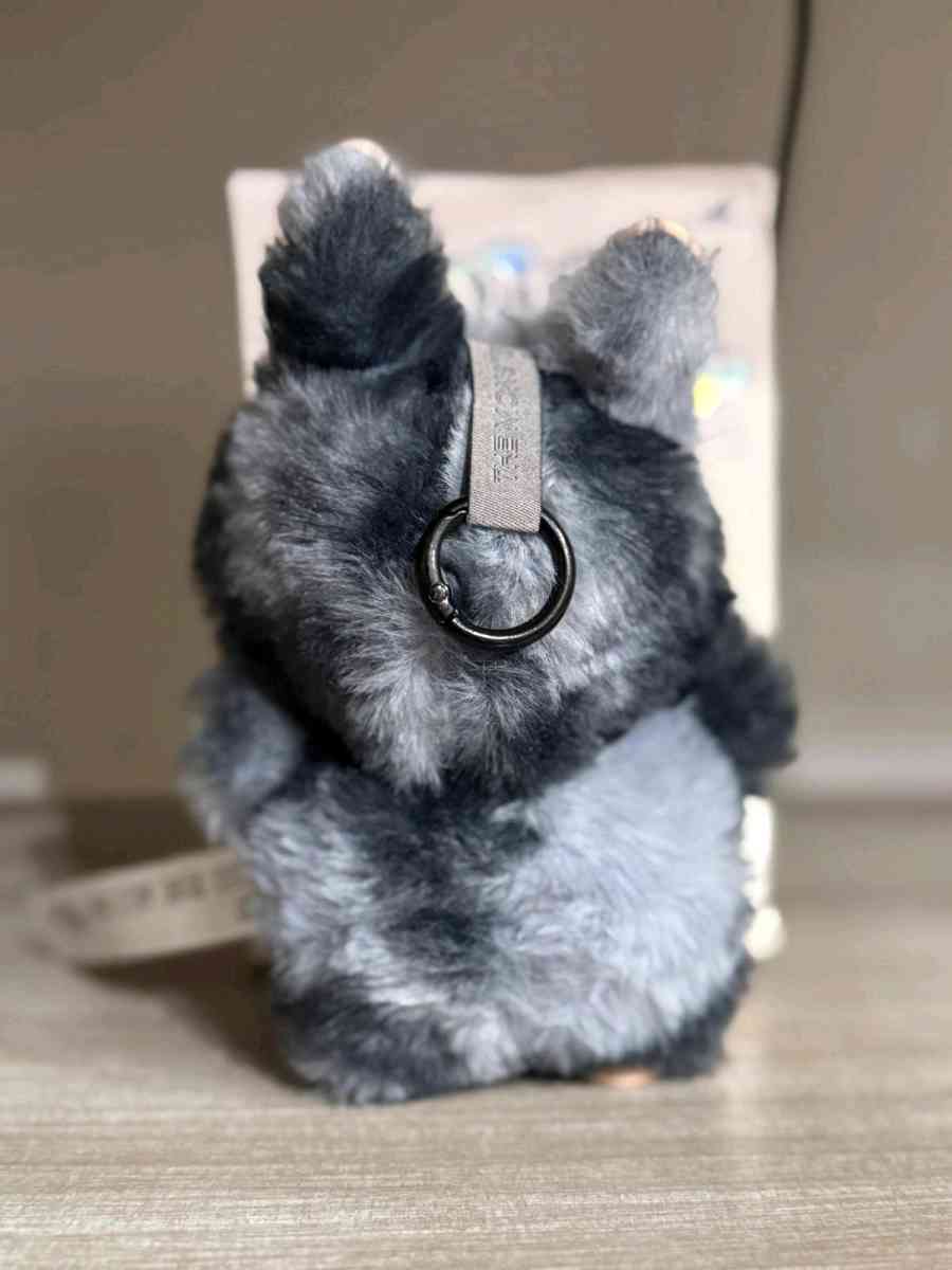 labubu secrete ID - Raleigh, North Carolina - FleaMarketBay