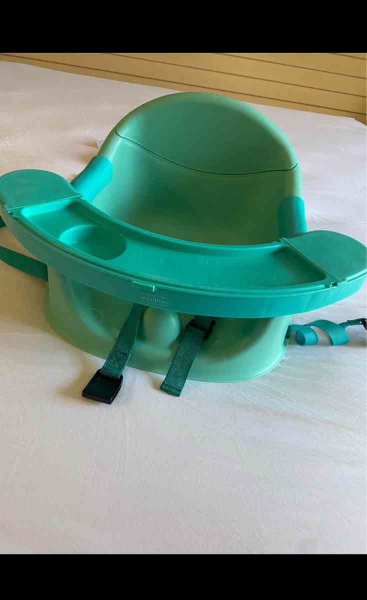 Booster feeding seat - Lake Mary, Florida