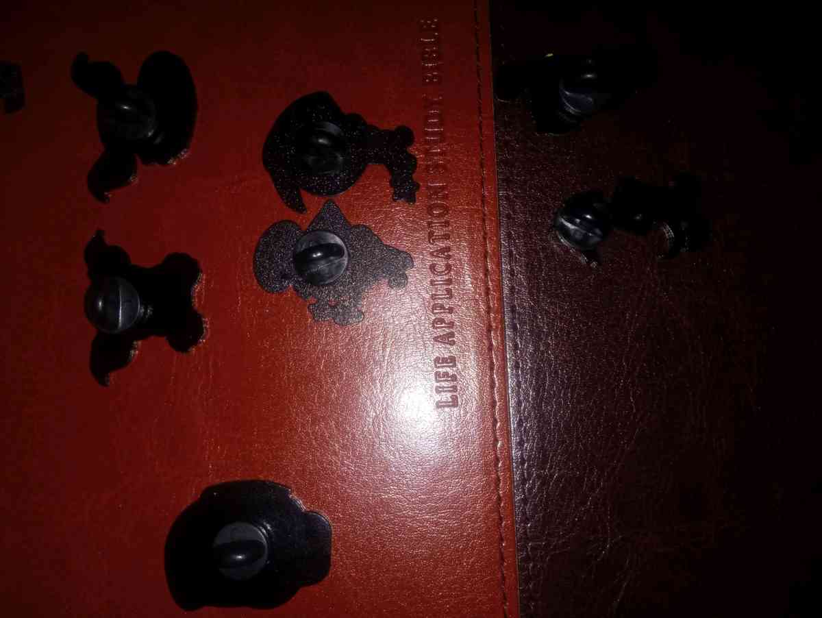 collectible cartoon pins for heads or clothing - Merry Hill, North Carolina - FleaMarketBay