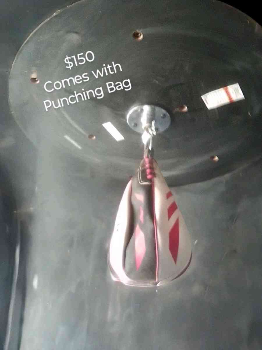 Everlast Punching Bag Equipment - El Paso, Texas - FleaMarketBay