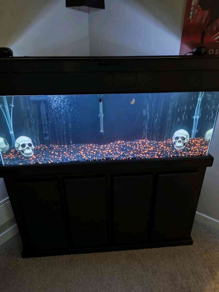 50 gallon fish tank