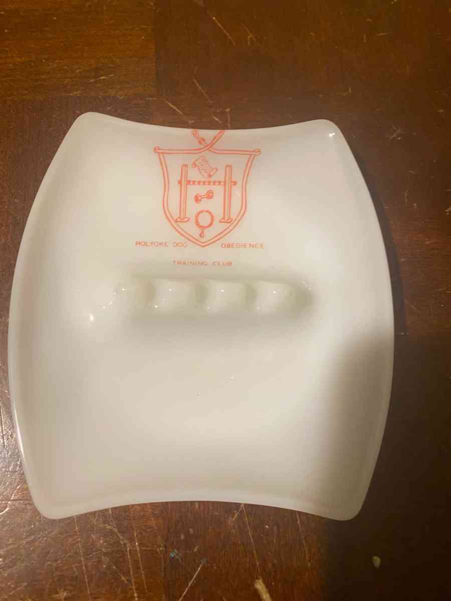 Ashtray Dog Kennel Training Club - Blythewood, South Carolina