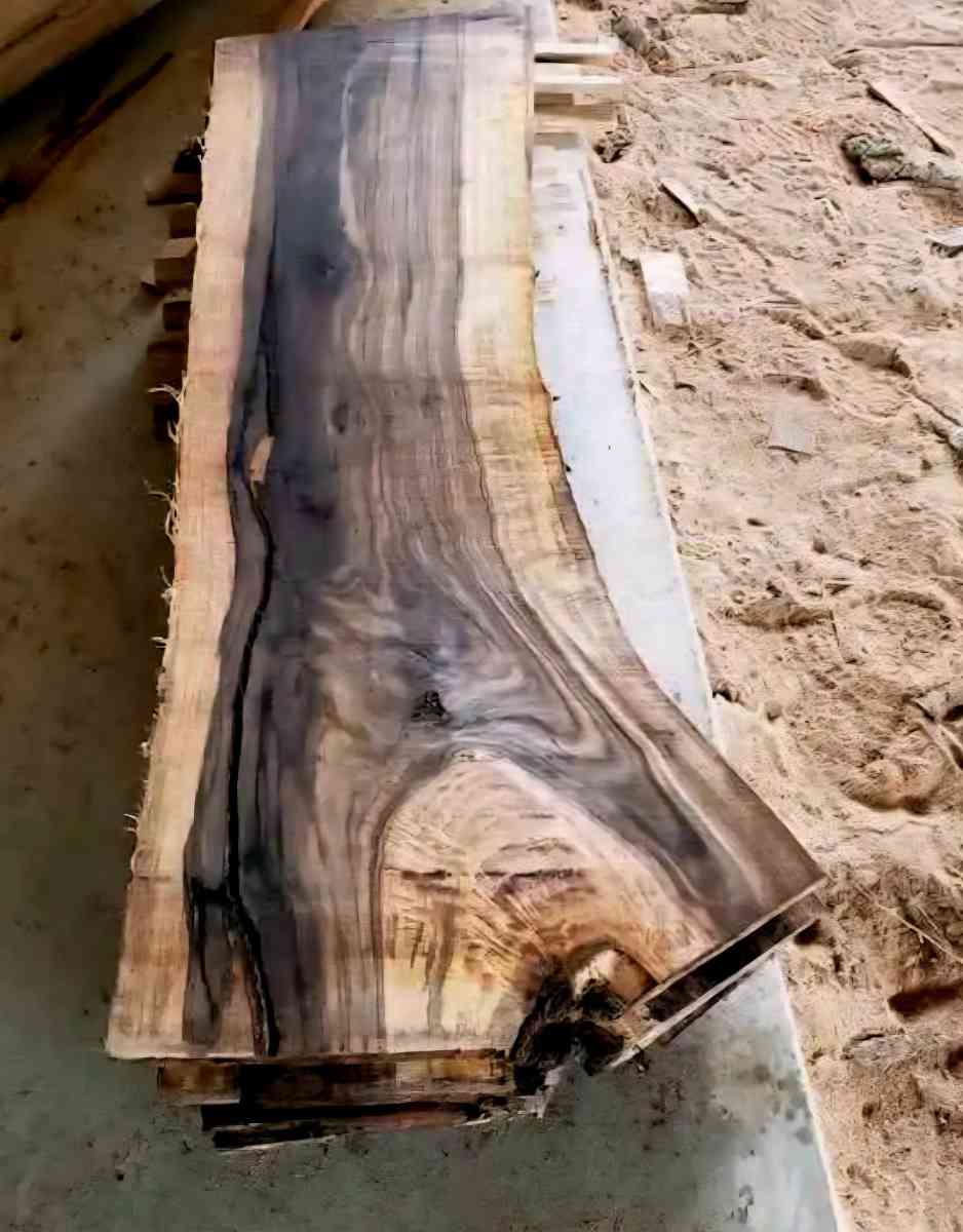 Tree Removal and Specialty Solutions - Grand Saline, Texas - FleaMarketBay