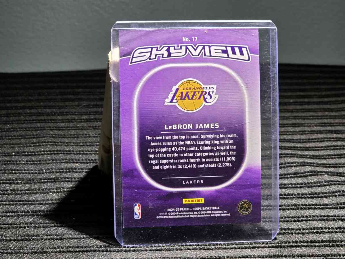 LeBron James - Kalamazoo, Michigan - FleaMarketBay