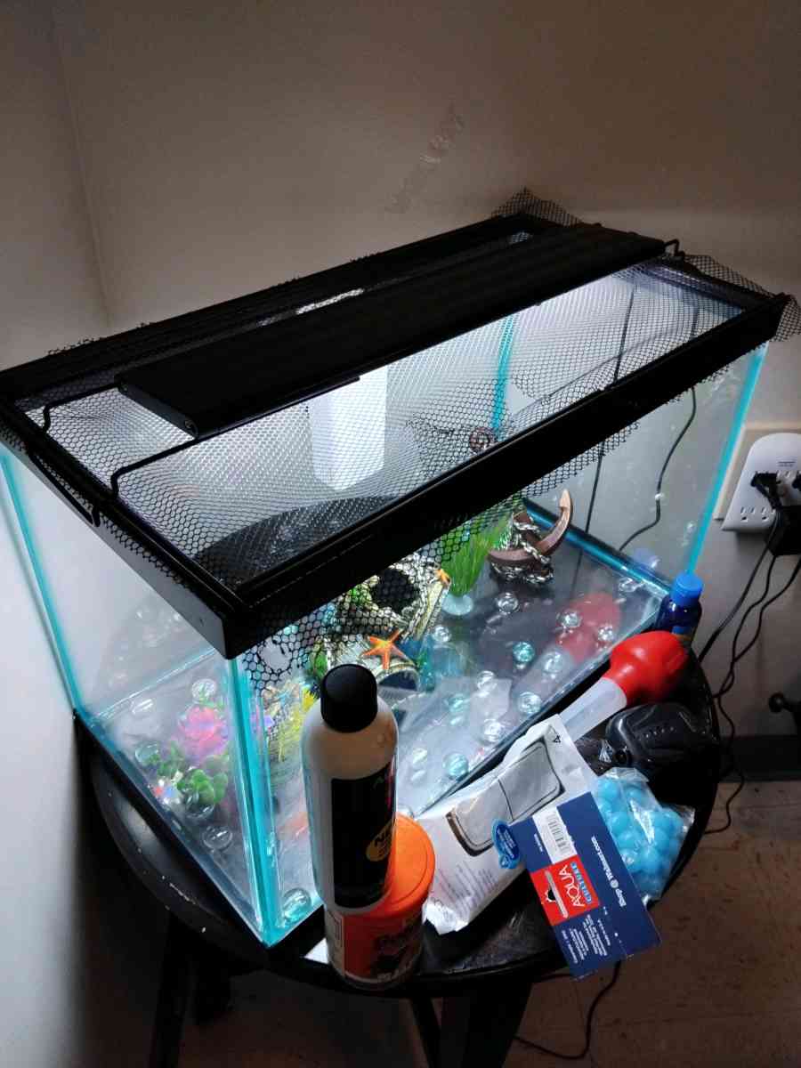 10 gallon fish tank and a goldfish kit with everything - Haverhill, Massachusetts - FleaMarketBay