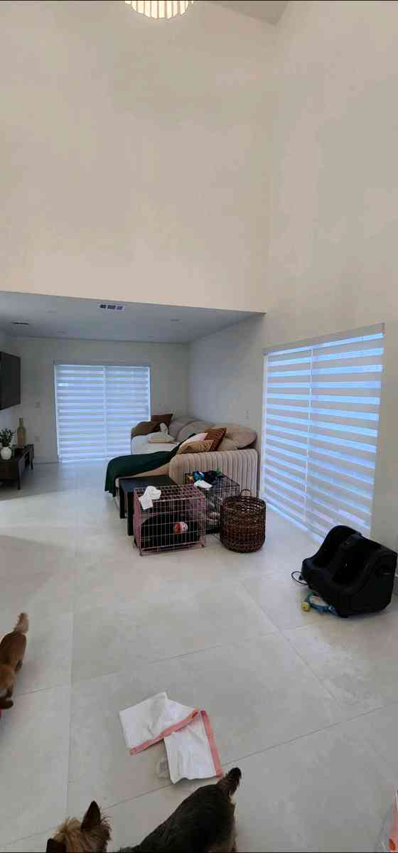 zebra Shades lights filtering o roller shades blackout o scr - Miami, Florida - FleaMarketBay