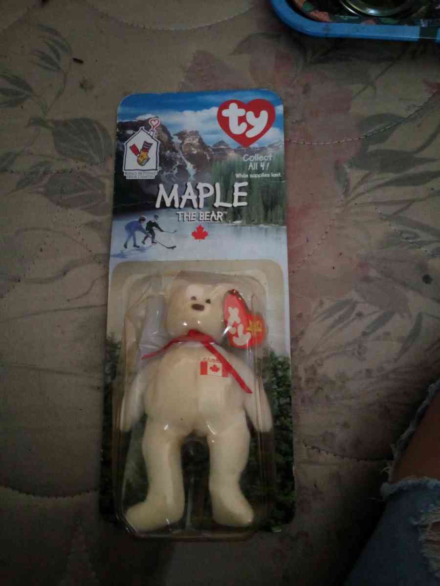 Maple The Bear - Sacramento, California - FleaMarketBay