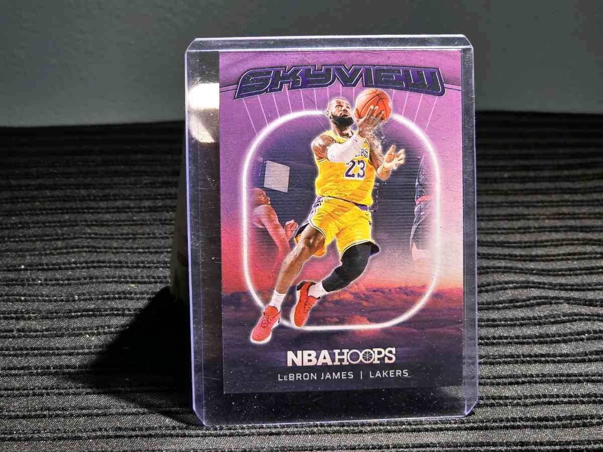 LeBron James - Kalamazoo, Michigan - FleaMarketBay