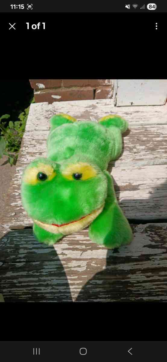 stuffed animal frog - Browning, Missouri