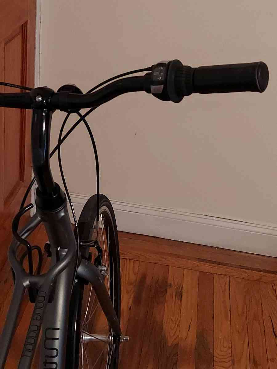 2024 MOMENTUM STREET  BICKE HANDCRAFTED 7 SPEED GREAT  WORKI - Brooklyn, New York - FleaMarketBay