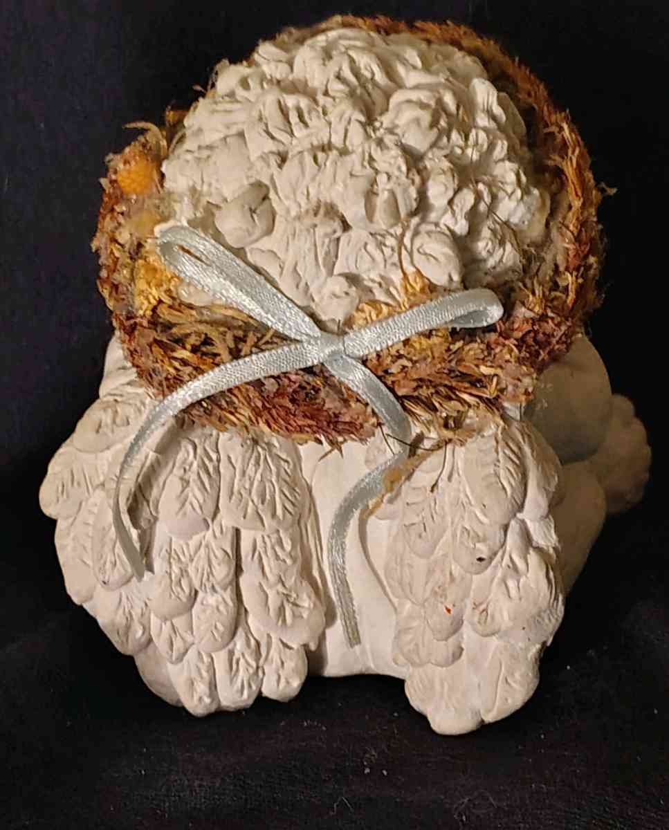 Dreamcicles LOVE MY KITTEN - Austin, Minnesota