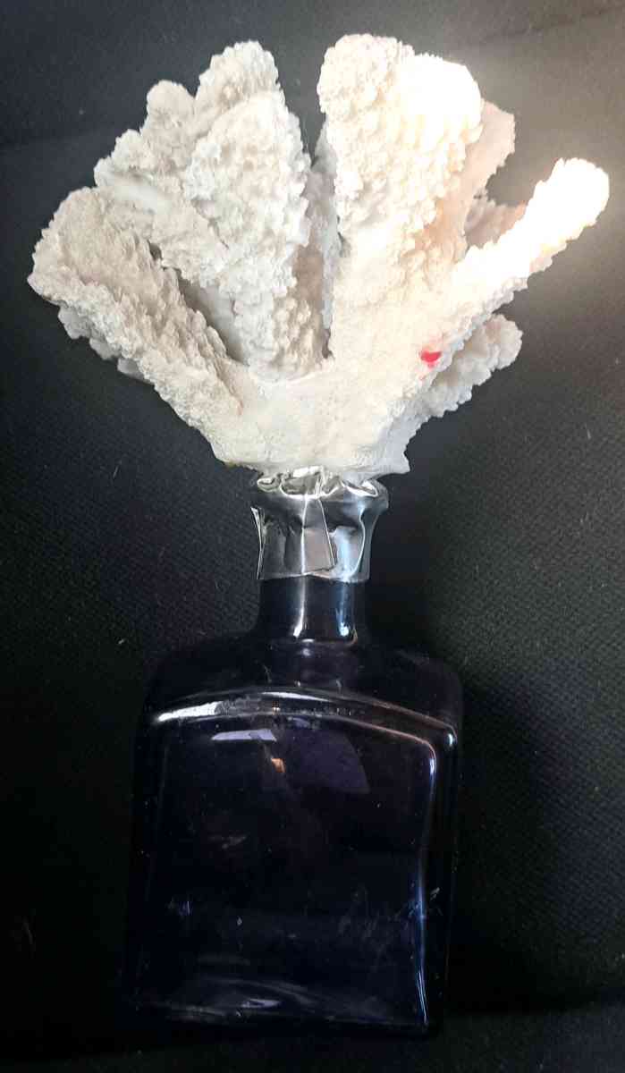 coral - Chula Vista, California - FleaMarketBay