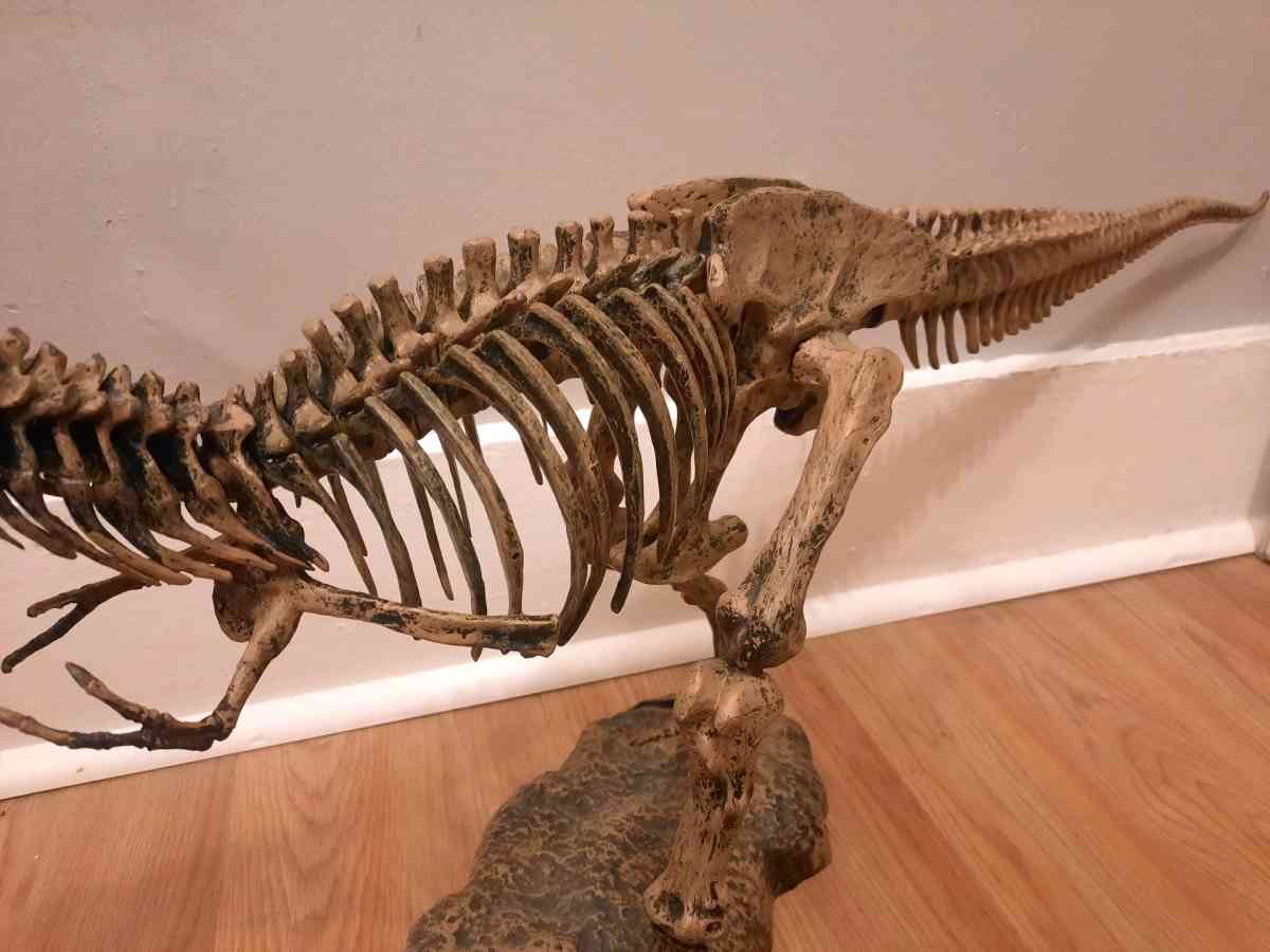Tyrannosaurus Rex TRex model skeleton puzzle science - Biddeford, Maine - FleaMarketBay