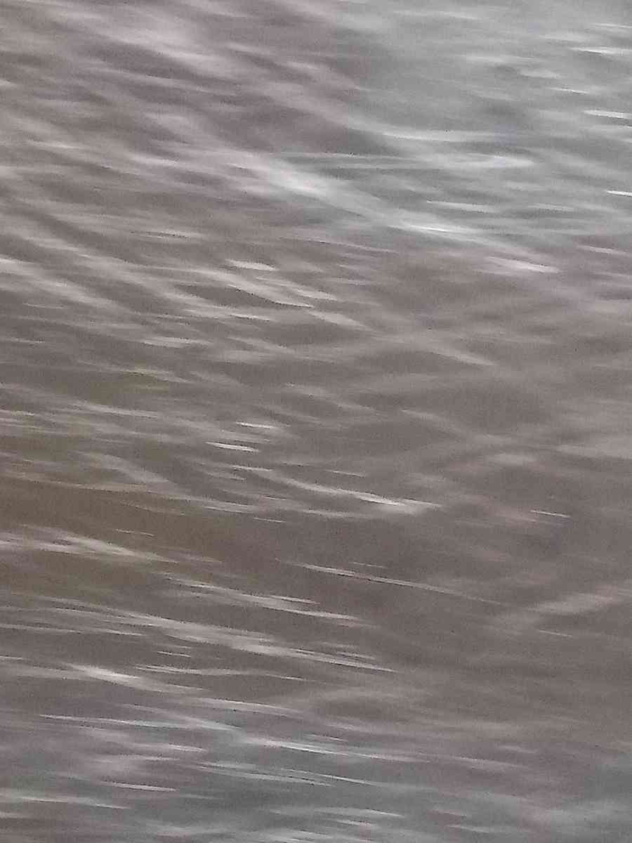 dishwasher - Las Vegas, Nevada - FleaMarketBay