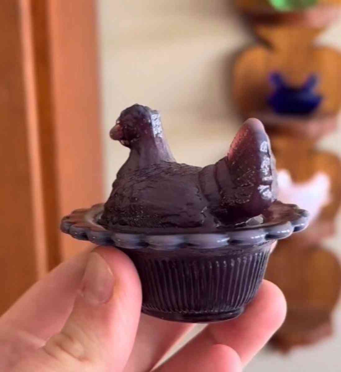 mini hens on a nest - Adamsville, Ohio