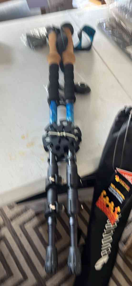 carbon fiber trekking poles - Eagle Lake, Florida