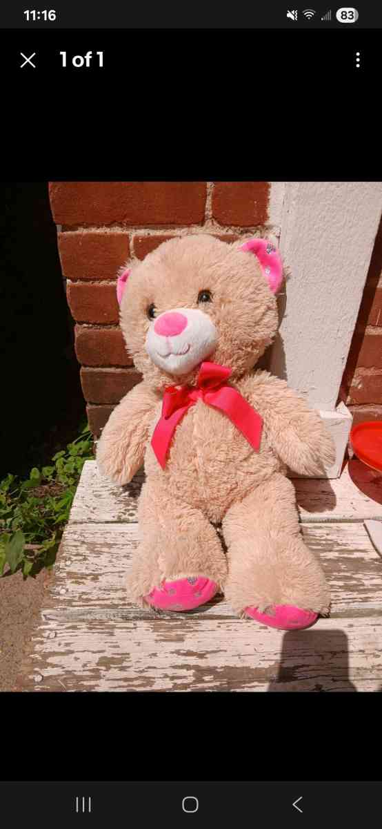 stuffed teddy bear - Browning, Missouri