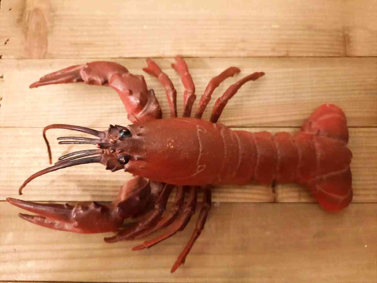 Realistic Rubber Lobster Toy Prop Marine Animal Lobster Toy - Biddeford, Maine - FleaMarketBay