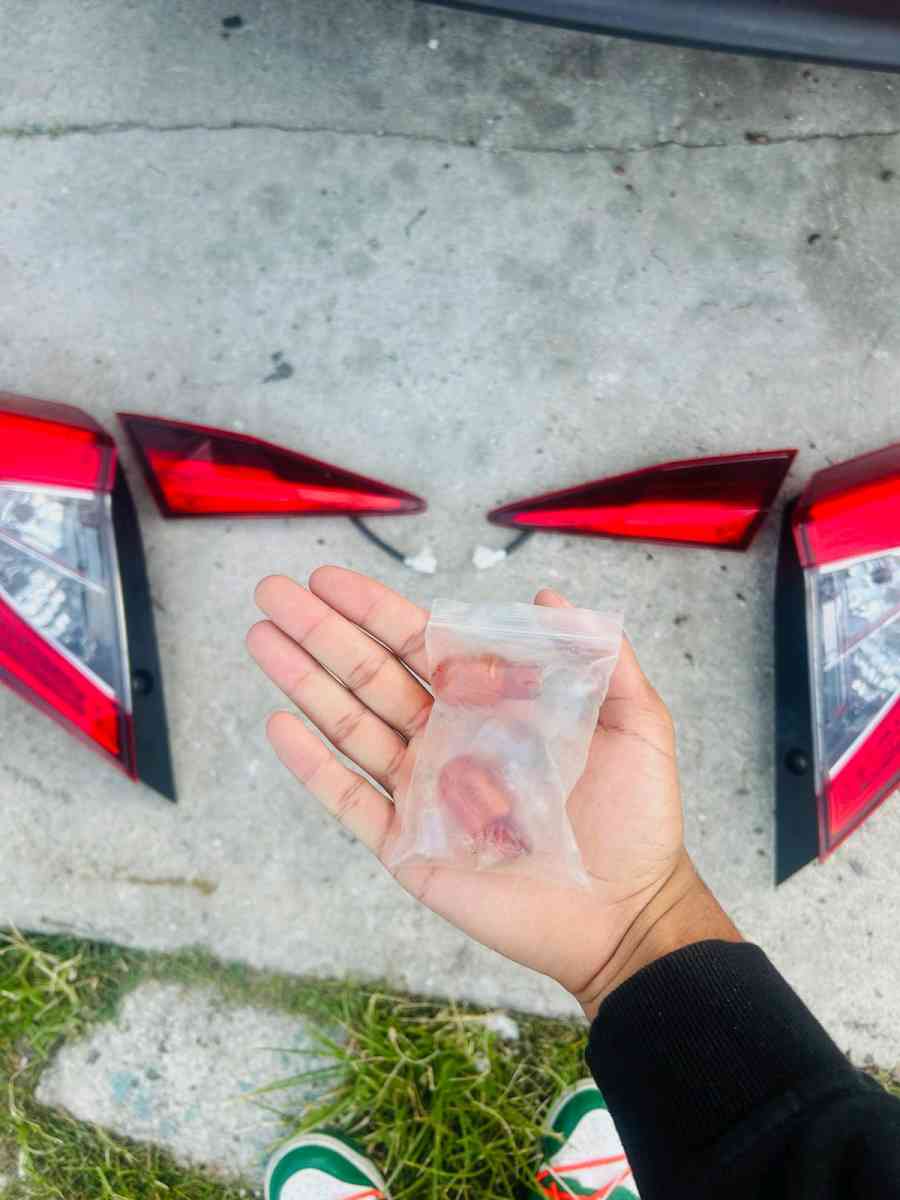 Spotlight rear civic 2018 - Miami Beach, Florida - FleaMarketBay