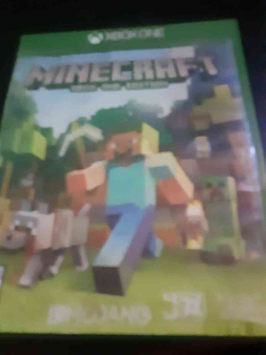 minecraft video game - Norco, California - FleaMarketBay