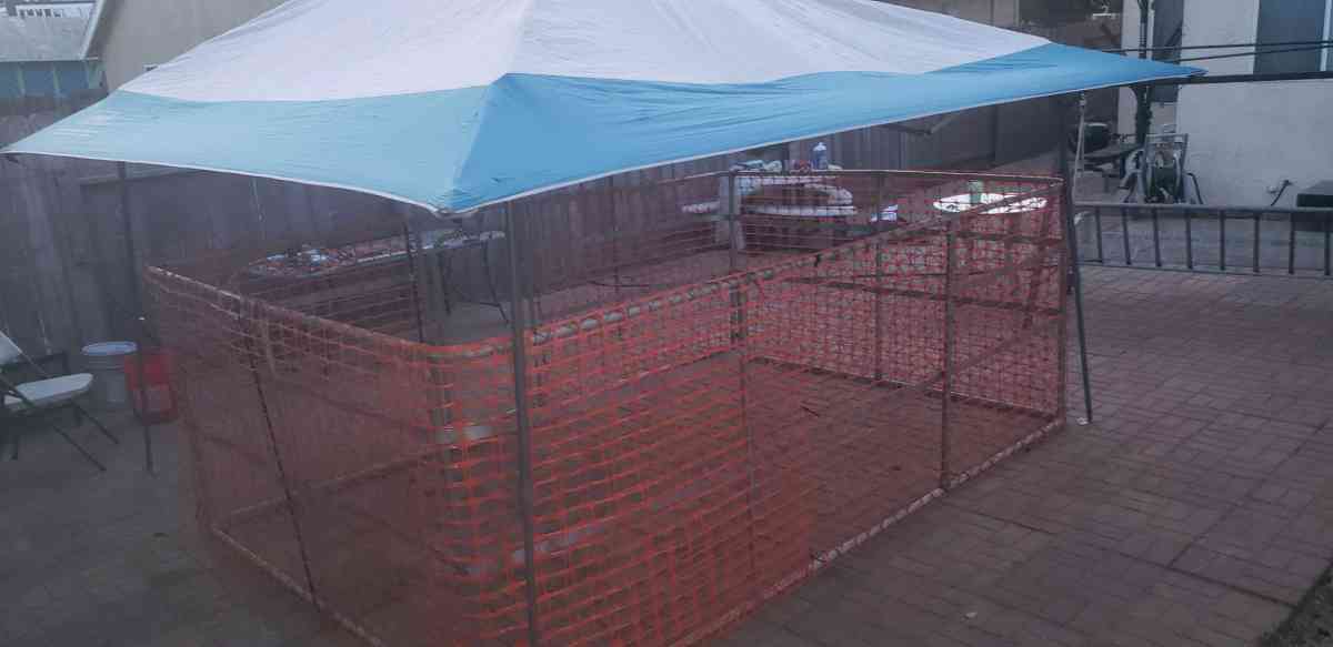 10x8x4ft tall dog kennel - Modesto, California