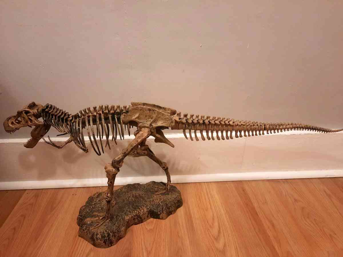Tyrannosaurus Rex TRex model skeleton puzzle science - Biddeford, Maine - FleaMarketBay