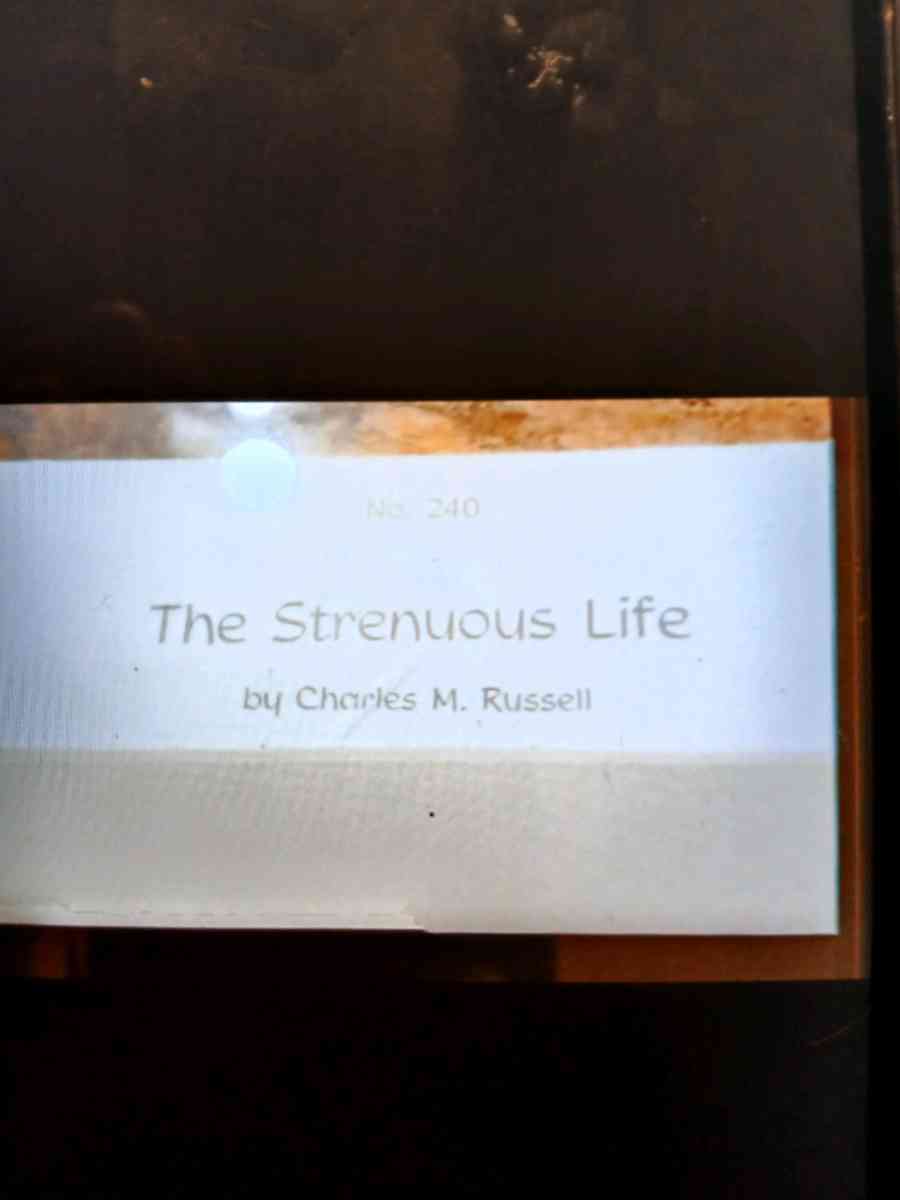 Framed Western Prints - Dallas, Texas - FleaMarketBay