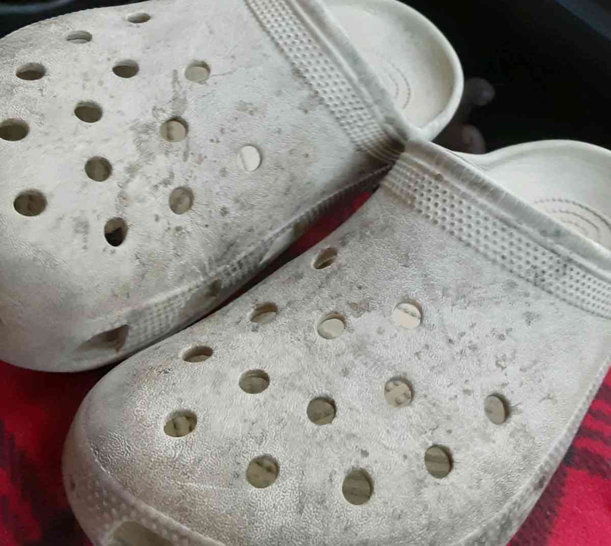 cross - Indianapolis, Indiana