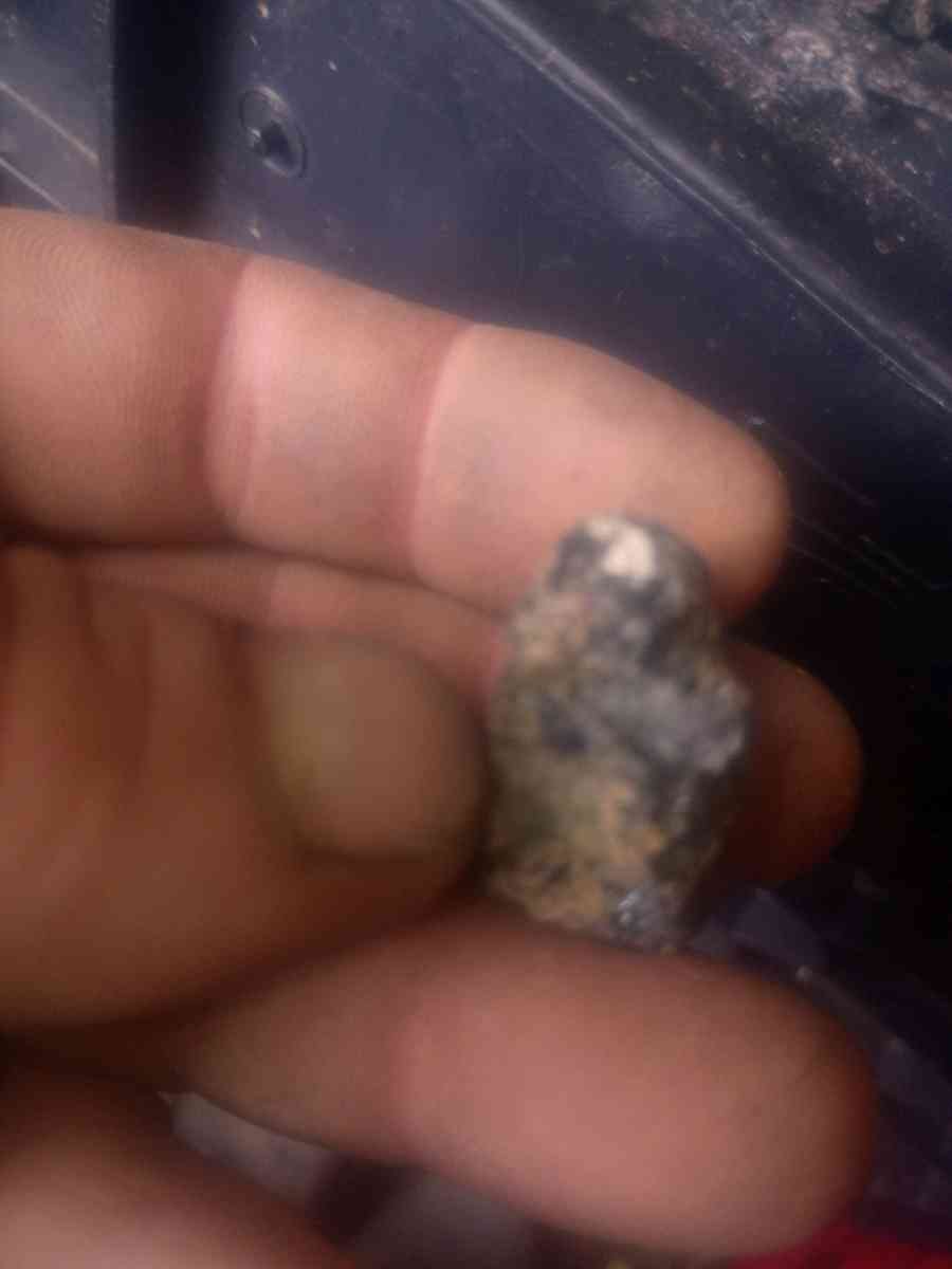 lil metal composite pet creatures that move  an change shape - Dayton, Ohio - FleaMarketBay