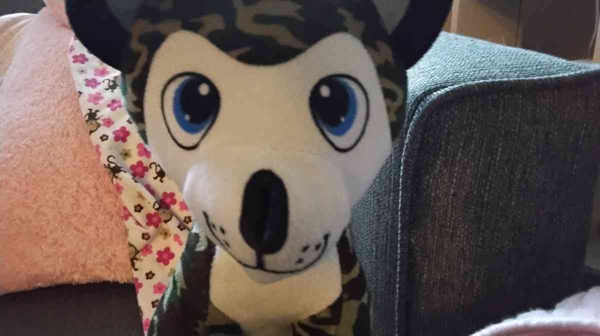 Peluche que es perro - Washington, District of Columbia - FleaMarketBay