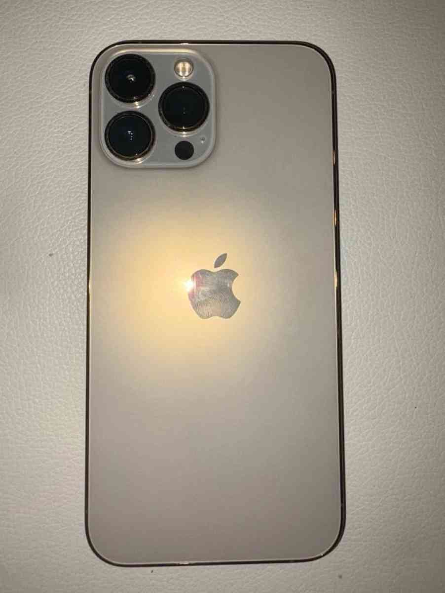 iPhone 13 Pro Max