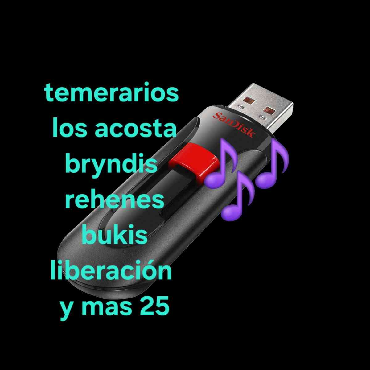 vendo usb con msica de la que quieras - Alameda, California