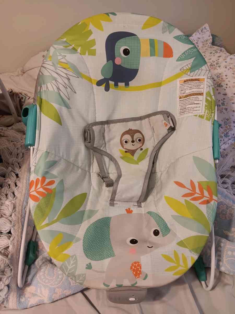 Baby swing and baby seat bundle - Lakeland, Florida - FleaMarketBay