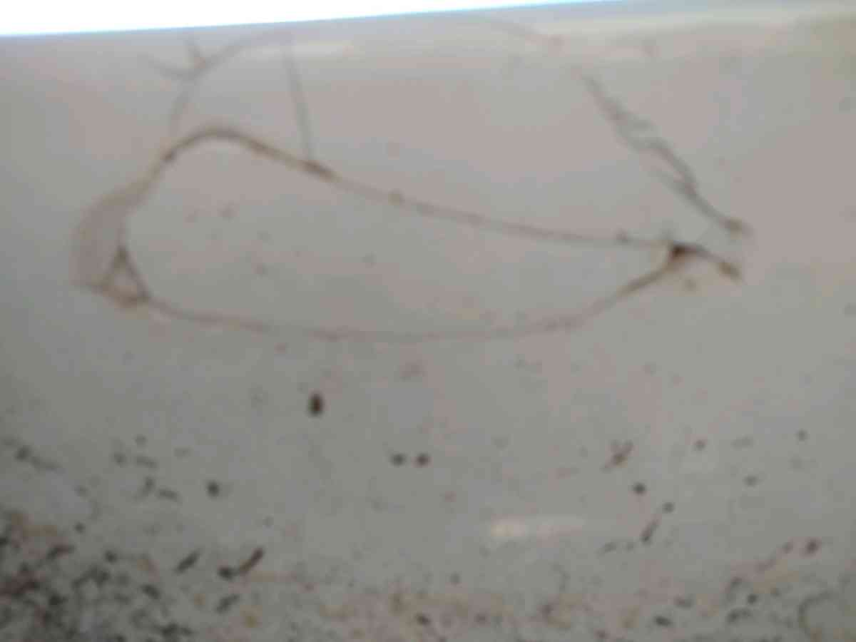 big white sink - Glade Hill, Virginia - FleaMarketBay